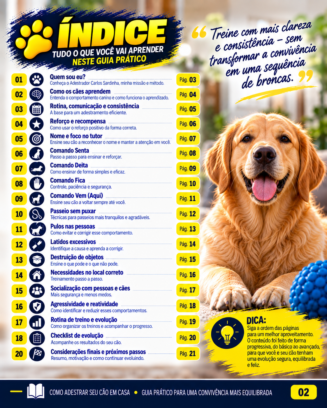 Índice e conteúdo do guia